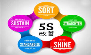 LIP 2: 5S and 5 Star Audit